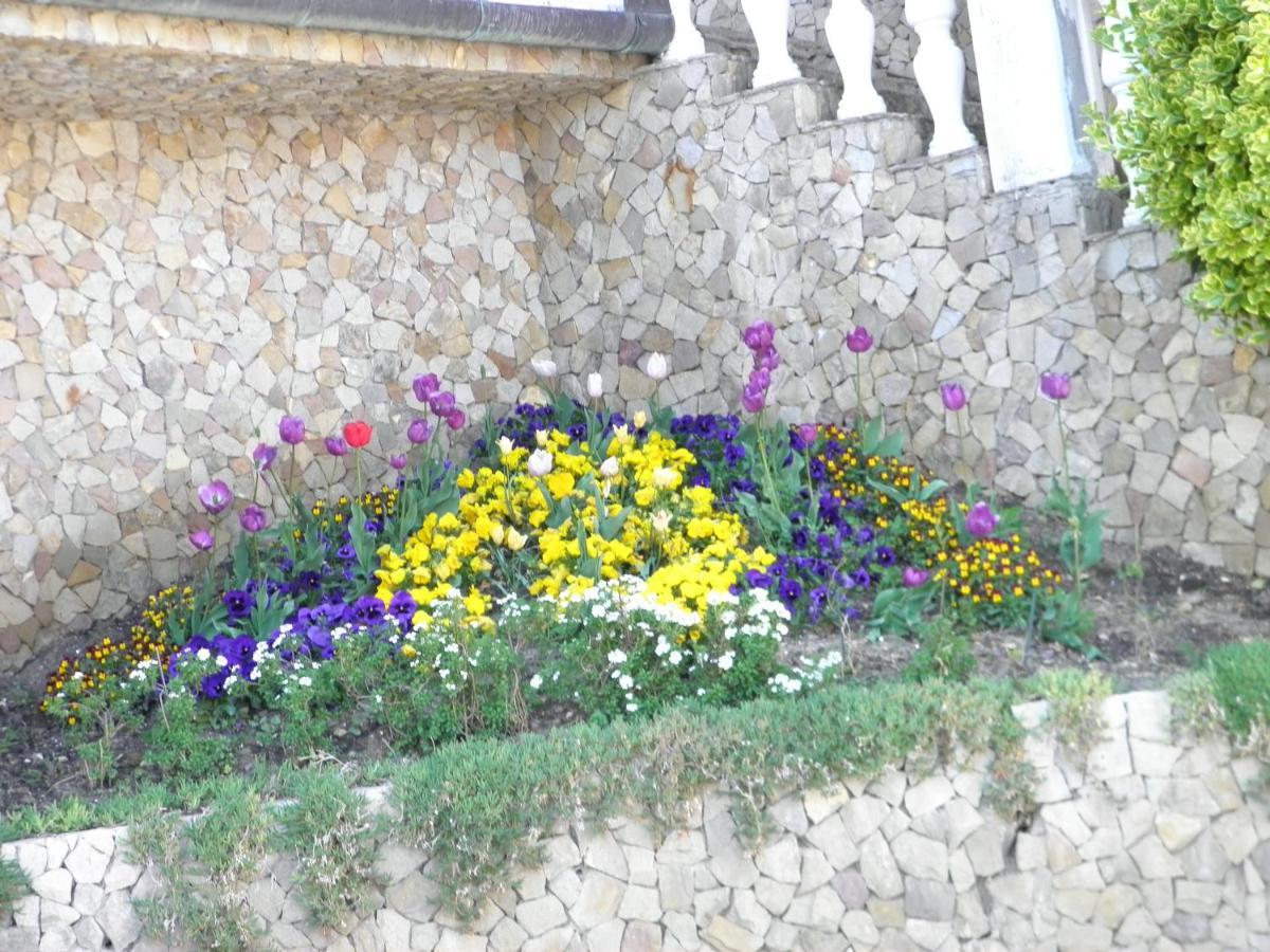 Heviz Kristaly Apartman Bagian luar foto